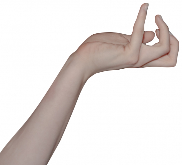 Creation of green anorexic: Step 4
